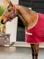 Amigo Zweetdeken Cooler Fleece Mulberry