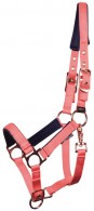 Harry's Horse Headcollar Foal Pepper Porcelain Rose 