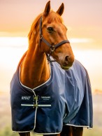 Amigo Regendeken 900 Original Lite Pony Witney Navy