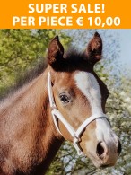 Super Sale! Vantaggio Show Headcollar Leather White