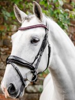 Horseware Hoofdstel Diamante Shet & Pony Black/Pink