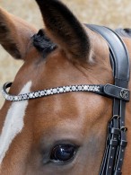 Harry's Horse Browband Diamond Pearl