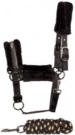 Harry's Horse Headcollar Set Denici Cavalli Stardust Soft Black