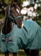 Amigo Turnout Rug 900 Original Lite 100 Dynasty Green