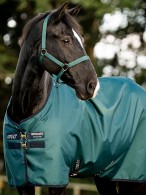 Amigo Regendeken 900 Original Lite 100 Dynasty Green