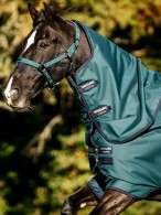 Amigo Regendeken 900 Plus Lite 100 Pony Dynasty Green
