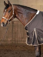 Harry's Horse Regendeken Thor After Dark