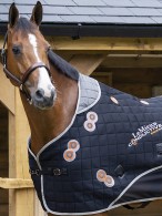 LeMieux Theapiedeken Conductive Magno Black