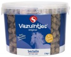 Sectolin Snoep Vazuintjes Box Vanille