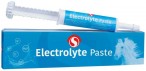 Sectolin Electrolyte Pasta