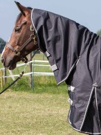Harry's Horse Turnout Rug Thor + Neck Stretch Limo