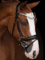 Kieffer Hoofdstel Victoria II Black