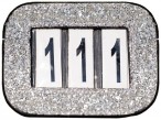 HB Competition Numbers Showtime Silver