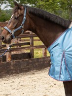 Harry's Horse Outdoor Rug Thor Blue