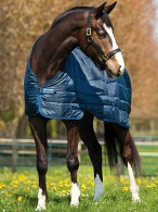 Horseware Onderdeken Liner 50