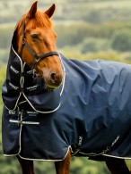 Amigo Outdoor Rug 900 Plus 200 Witney Navy