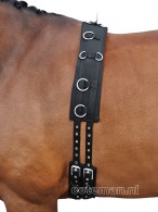 Vantaggio Lunging Girth Classic Black