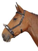 Harry's Horse Cavesson Standard