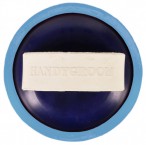 Vantaggio Wash Brush Handygroom Blue