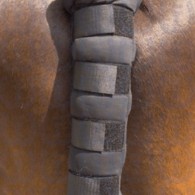 Vantaggio Tail Guard Short