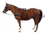 Vantaggio Driving Harness Synthetic