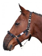 Harry's Horse Pollennet