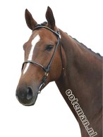 Show Bridle