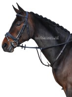 Vantaggio Martingale Dark Brown
