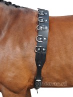 IR Longeersingel Leder