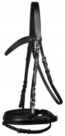 Vantaggio Bridle Animato A