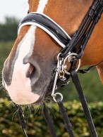 Dyon Neusriem Stang + Trens Lakleder Zwart/Wit