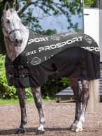LeMieux Carbon Cooler Rug Black