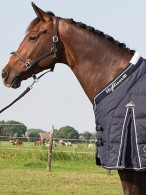 Harry's Horse Stable Rug Highliner 500 Navy
