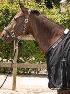 Harry's Horse Stable Rug Highliner + Fleece Black