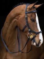 Rambo Micklem MultiBridle