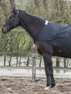 Harry's Horse Regendeken Walker Black
