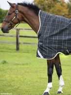 Rhino Outdoor Rug Wug Medium Black