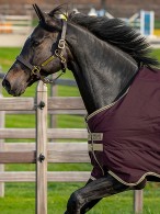 Amigo Turnout Rug Hero Ripstop Lite Fig
