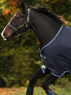 Amigo Winterdeken Bravo 12 Original Medium Navy