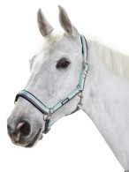 Eskadron Headcollar Basics Ice