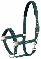 Eskadron Halster Basics Racinggreen