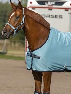Amigo Zweetdeken Jersey Delphinium Blue