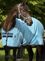 Amigo Zomerdeken Stable Delphinium Blue