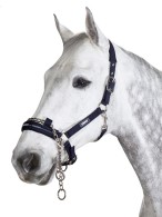 Eskadron Headcollar Basics Control Nightblue