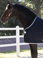 Amigo Zweetdeken Jersey Navy