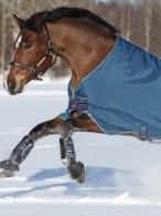 Rhino Winterdeken Original Medium Navy