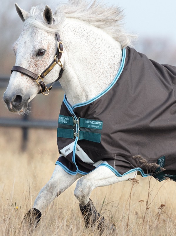 Betsy Trotwood Overblijvend Spanje Amigo Regendeken Bravo 12 Original Lite Pony Excalibur/Aqua | Ooteman  Paardensport