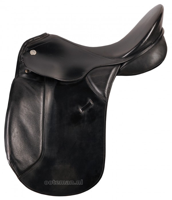 Dressage