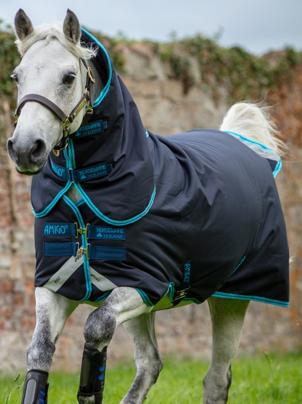 Regeren Zeep lekken Amigo Winterdeken Bravo 12 Plus Medium Pony Navy | Ooteman Paardensport