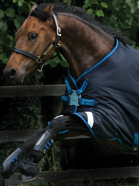 Industrieel Eeuwigdurend Hou op Amigo Regendeken Bravo 12 Original Disc Lite 100 Navy | Ooteman Paardensport Industrieel Eeuwigdurend Hou op Amigo Regendeken Bravo 12 Original Disc Lite 100 Navy | Ooteman Paardensport